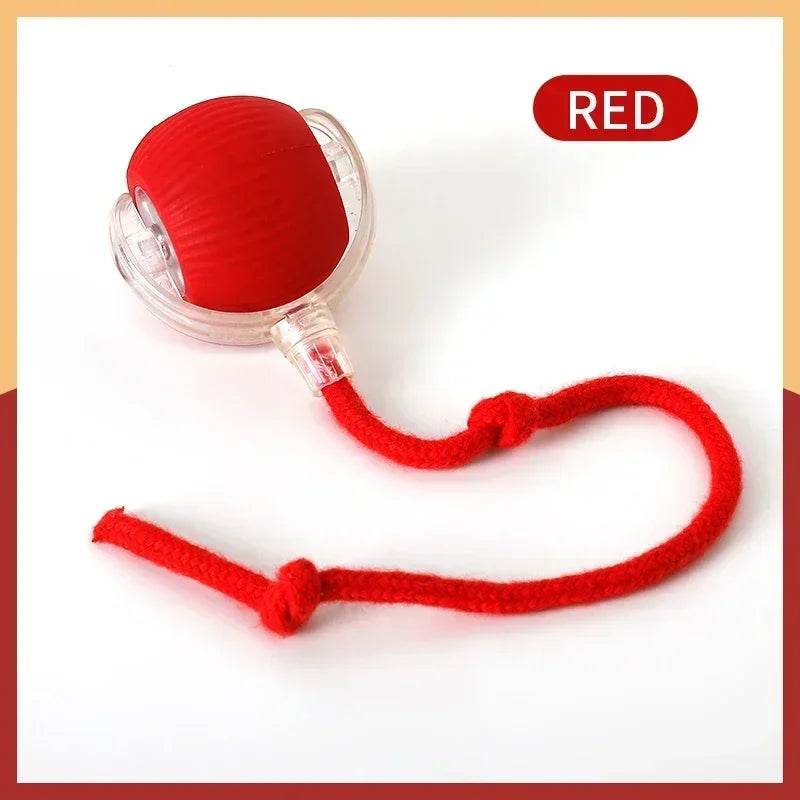 Pet Tail Electric Imitate Cat Cat Dog Automatic Training Ball Toys - HORA GIFT