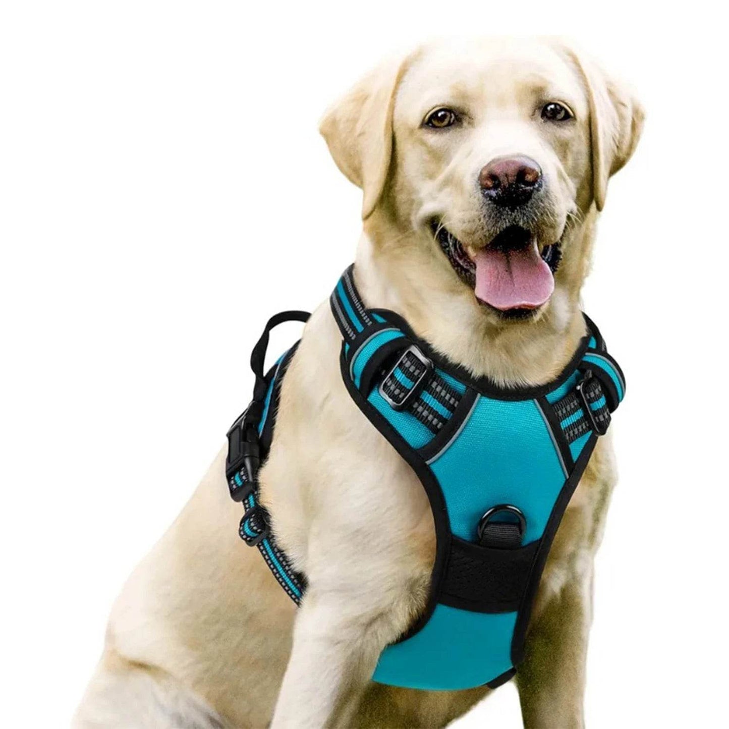 Dog Harness No Pull Pet Harness - HORA GIFT