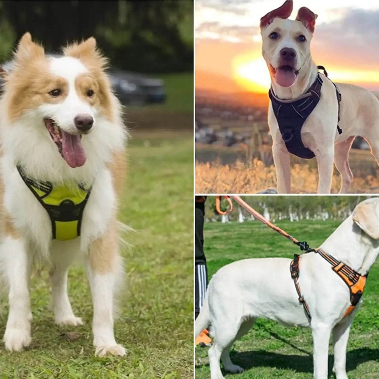Dog Harness No Pull Pet Harness - HORA GIFT