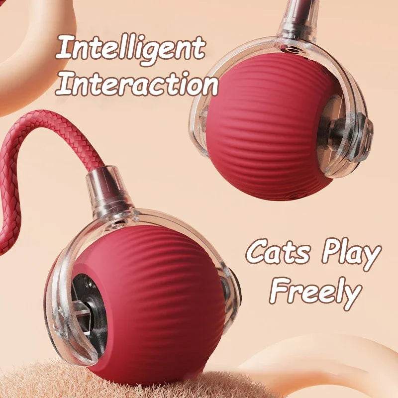 Pet Tail Electric Imitate Cat Cat Dog Automatic Training Ball Toys - HORA GIFT