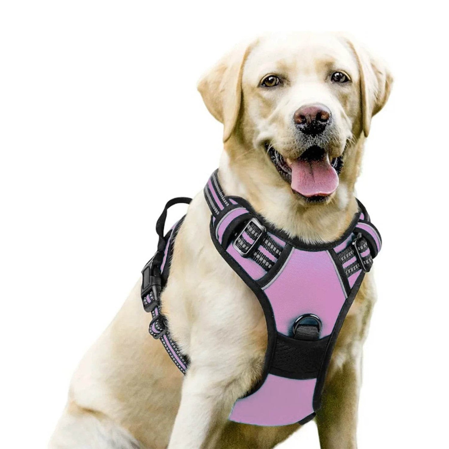 Dog Harness No Pull Pet Harness - HORA GIFT