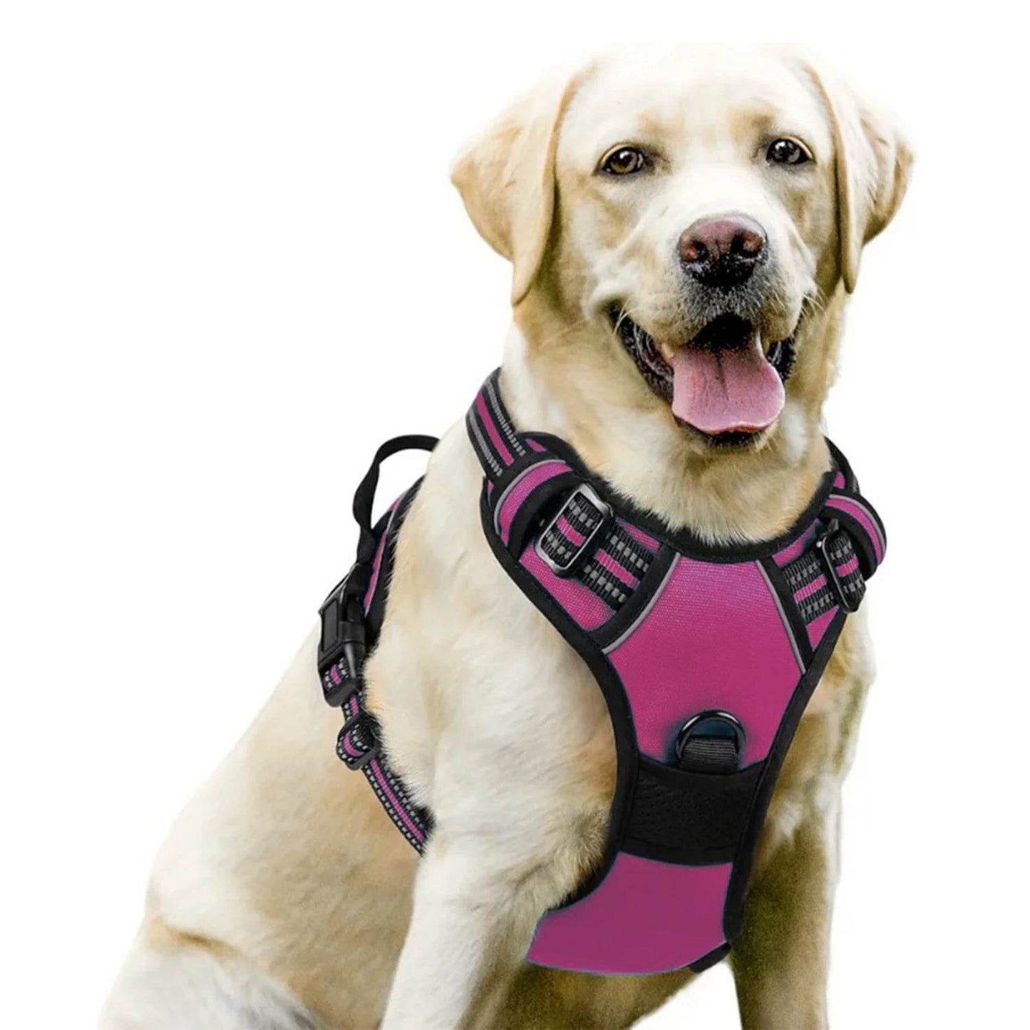 Dog Harness No Pull Pet Harness - HORA GIFT