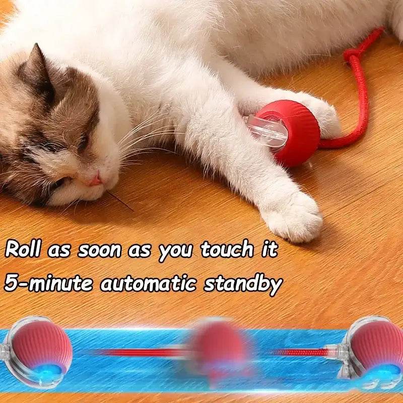 Pet Tail Electric Imitate Cat Cat Dog Automatic Training Ball Toys - HORA GIFT