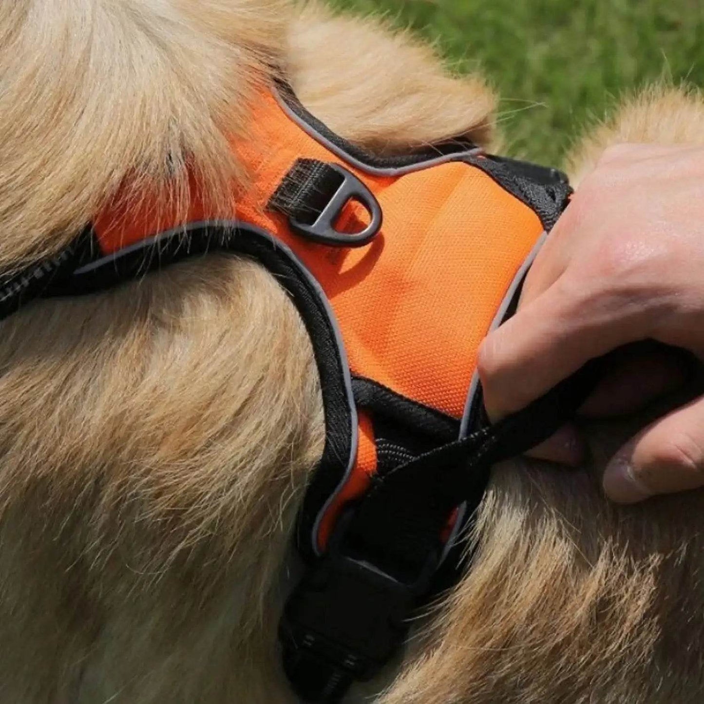 Dog Harness No Pull Pet Harness - HORA GIFT