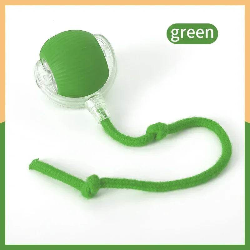 Pet Tail Electric Imitate Cat Cat Dog Automatic Training Ball Toys - HORA GIFT
