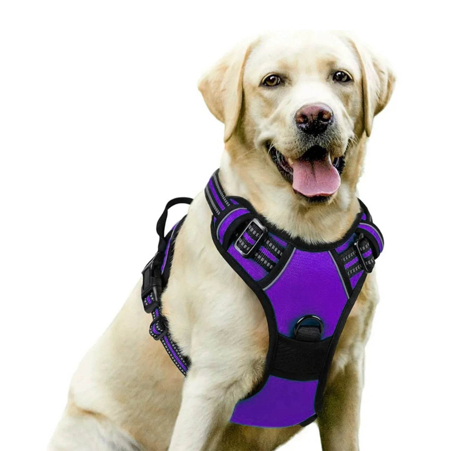 Dog Harness No Pull Pet Harness - HORA GIFT