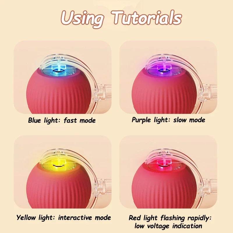 Pet Tail Electric Imitate Cat Cat Dog Automatic Training Ball Toys - HORA GIFT