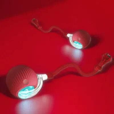 Pet Tail Electric Imitate Cat Cat Dog Automatic Training Ball Toys - HORA GIFT