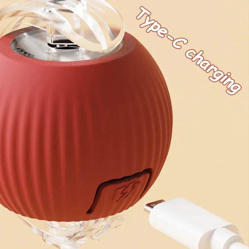 Pet Tail Electric Imitate Cat Cat Dog Automatic Training Ball Toys - HORA GIFT
