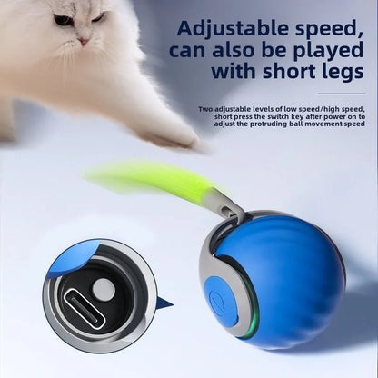 Free Shipment Interactive Indoor Training Pet Toy Active Rolling Ball Smart IQ Automatic Self Mobility Electric Cat Ball