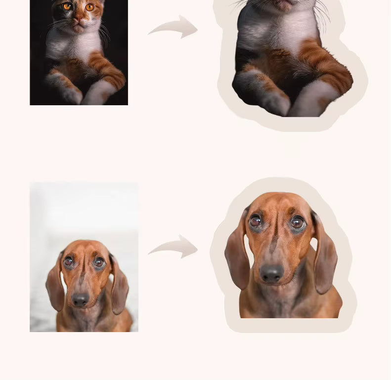 US Warehouse Personalized Gift Custom Shaped Plush Pillow With Short Plush and PP Cotton Made in USA Fast Shipping