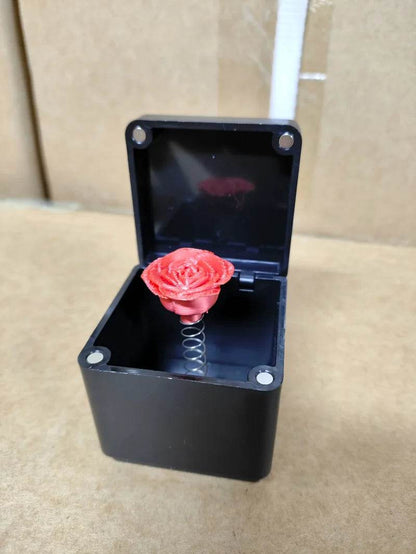 The Annoying Present with Middle Finger in A Box Gift Box - HORA GIFT