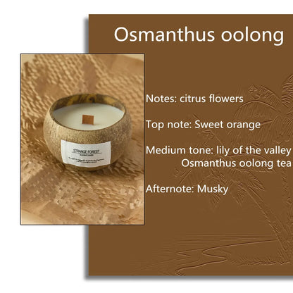 natural coconut shell scented candles, home fragrance Companion Hand Gift