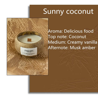 natural coconut shell scented candles, home fragrance Companion Hand Gift