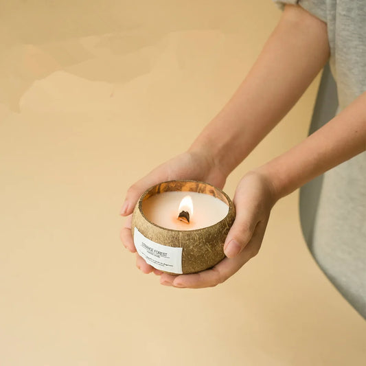 natural coconut shell scented candles, home fragrance Companion Hand Gift