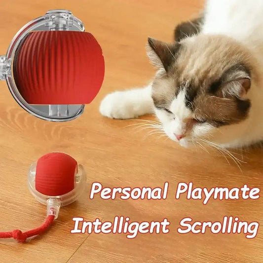 Pet Tail Electric Imitate Cat Cat Dog Automatic Training Ball Toys - HORA GIFT