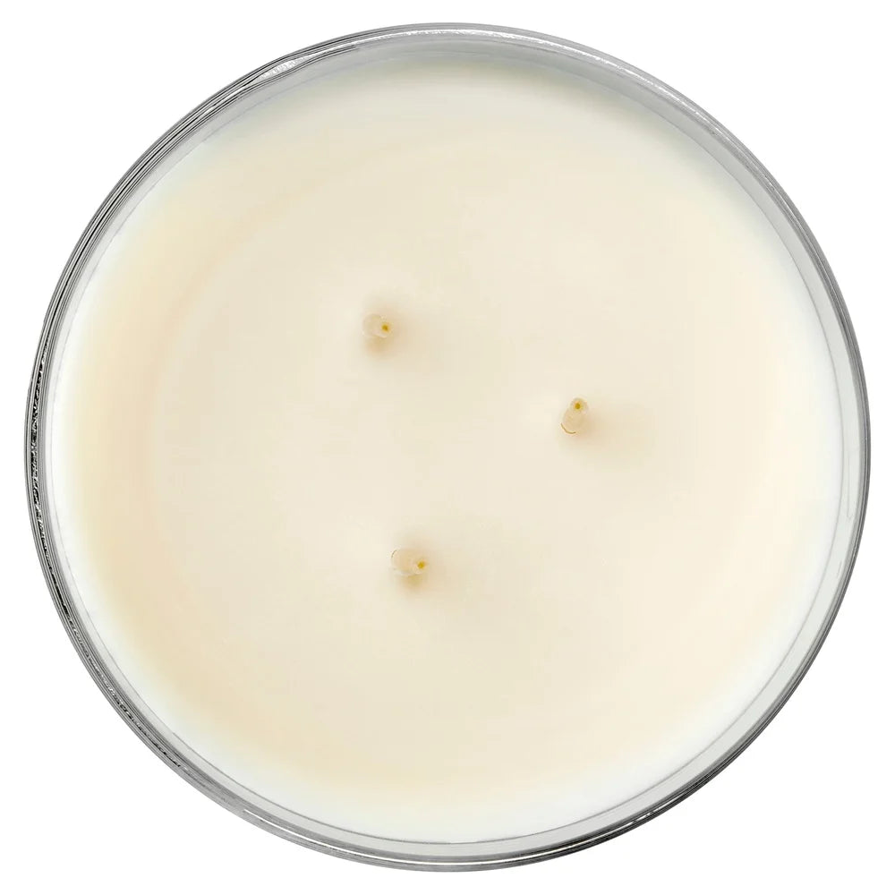 3-Wick Juicy Watermelon Scented Candle Paraffin Blend Wax 14-Ounce Container Long Lasting 65 Hours Burn Time Perfect Gift Home