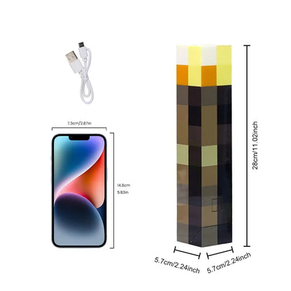 USB Rechargeable LED Night Lamp Light-Up Wall Torch Hand Held Wall Mountable for Kids Room Decoration Lighting Toys