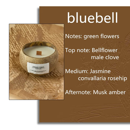 natural coconut shell scented candles, home fragrance Companion Hand Gift