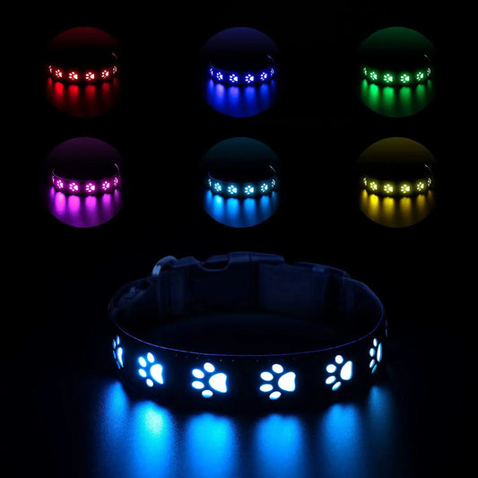 Rechargeable LED Dog Collar Rainproof Nylon USB-C Luminous Dog Necklace 3 color 6 modes Light Up Pet Collars for Dogs