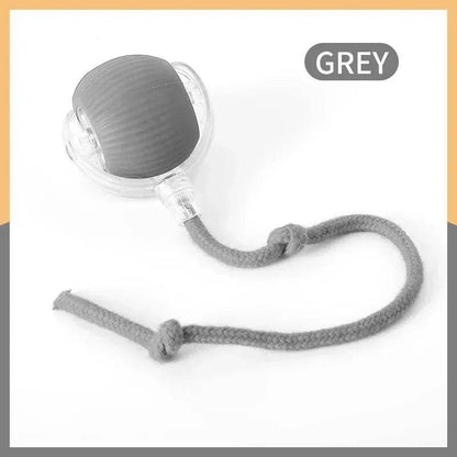 Pet Tail Electric Imitate Cat Cat Dog Automatic Training Ball Toys - HORA GIFT