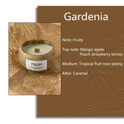 natural coconut shell scented candles, home fragrance Companion Hand Gift