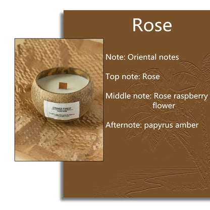 natural coconut shell scented candles, home fragrance Companion Hand Gift