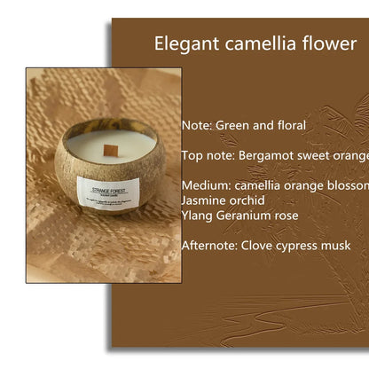 natural coconut shell scented candles, home fragrance Companion Hand Gift