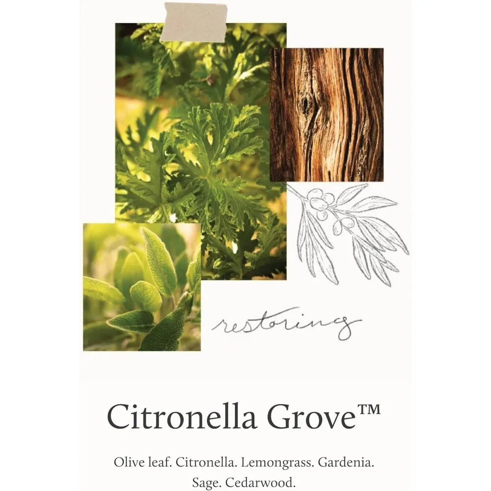 Outdoor Citronella Candles - Patio Scented with Olive Leaf & Lemongrass - Backyard Essential Aromatics